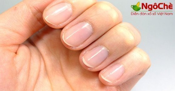 Mô tả một bộ móng tay sạch sẽ, gợi ý về những con số may mắn khi mơ thấy cắt móng tay đánh con gì.