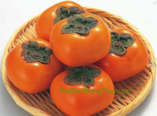 mơ thấy cây hồng sai quả