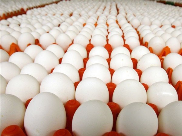 Mơ thấy lượm trứng vịt đánh số gì và các con số liên quan