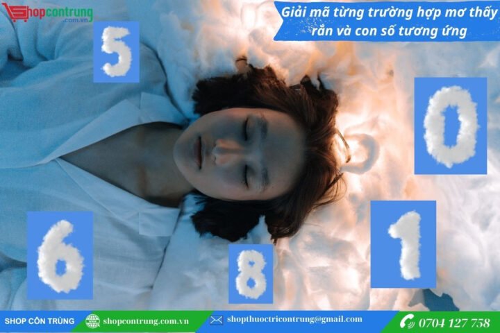 Mơ thấy rắn đánh đề số nào
