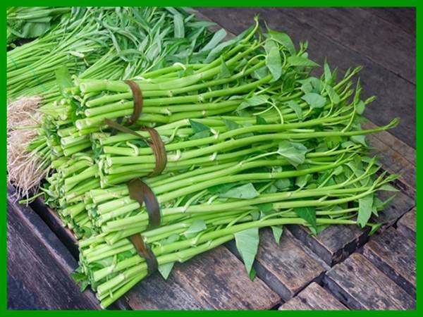 Nằm Mơ Thấy Rau Muống Đánh Con Gì? Giải Mã Giấc Mơ Chi Tiết