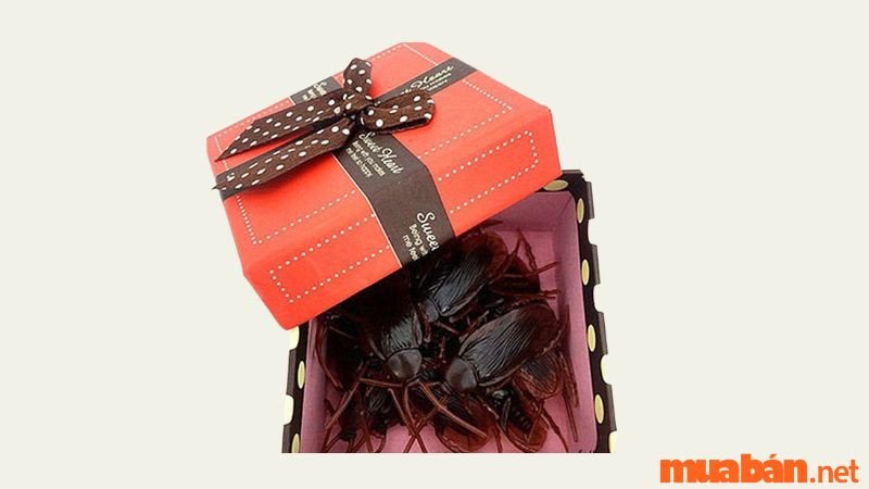 Một con gián bất ngờ xuất hiện từ hộp quà.