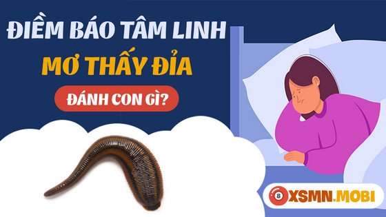 Nằm mơ thấy đỉa đánh con gì để thử vận may?