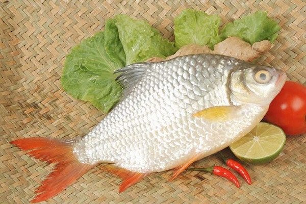 Người đàn ông bắt được cá mè lớn, biểu tượng của thành công