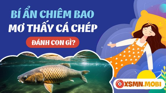 Những con số may mắn khi mơ thấy cá chép