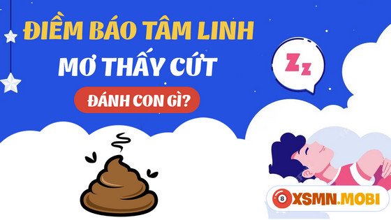 Tìm hiểu con số may mắn khi mơ thấy phân
