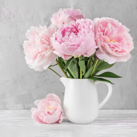 Tổng hợp các loại hoa may mắn trong học tập, tạo động lực thi cử