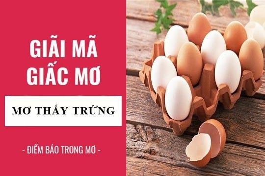 Vịt đang đẻ trứng