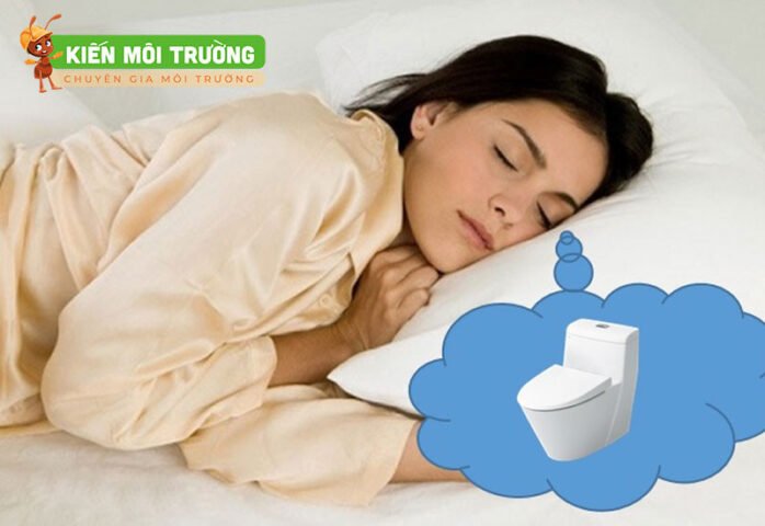 ý nghĩa giấc mơ thấy đi ỉa