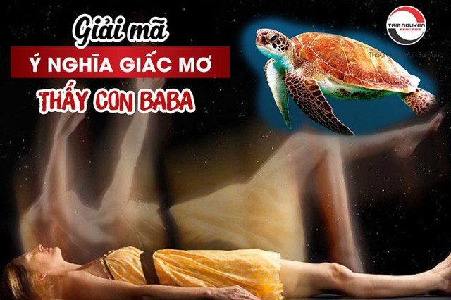 Ý nghĩa mơ thấy ba ba là điềm gì trong văn hóa tâm linh