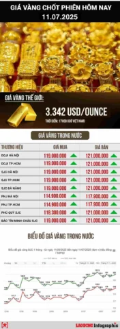 Biểu đồ giá vàng 2026