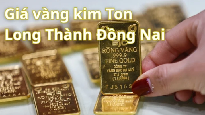 Giá Vàng 9999 Kim Tôn Hôm Nay: Dự Báo Xu Hướng 2026 Biểu đồ giá vàng 9999 Kim Tôn hôm nay