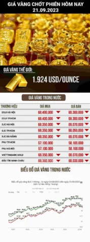 Biểu đồ giá vàng biến động