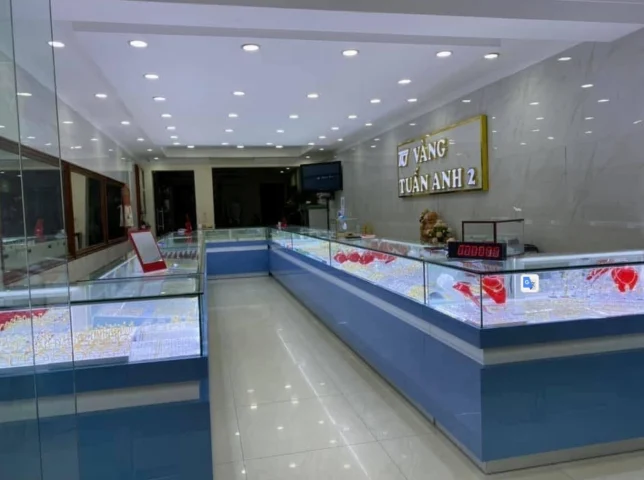 Biểu đồ giá vàng SJC hôm nay