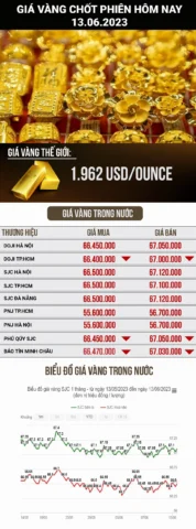 Biểu đồ giá vàng SJC và Doji
