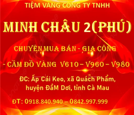 Giá Vàng Cà Mau 2026: Cập Nhật Mới Nhất, Phân Tích Xu Hướng Biểu đồ tỷ giá USD và giá vàng