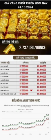 gia-vang-24k-hom-nay-du-bao-phan-tich-va-loi-khuyen-au-tu-20_273