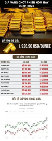 gia-vang-96-tai-nha-trang-hom-nay-du-bao-xu-huong-2026_251