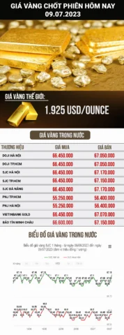 Giá vàng hôm nay biến động