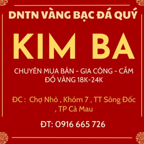 gia-vang-hom-nay-ca-mau-du-bao-xu-huong-2026_767