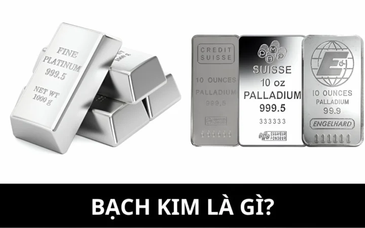 Tìm hiểu về bạch kim là gì